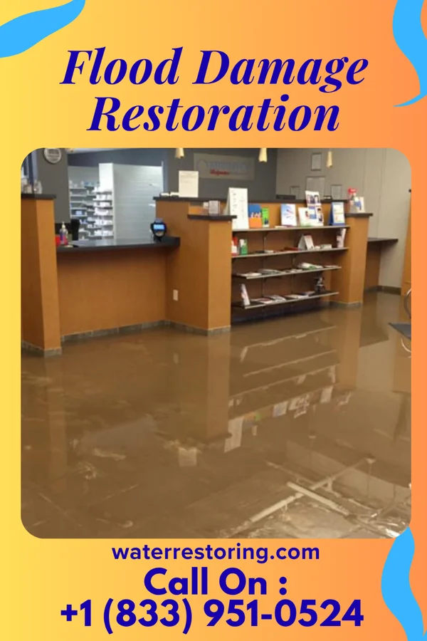 Flood Damage Restoration in Excelsior, MN