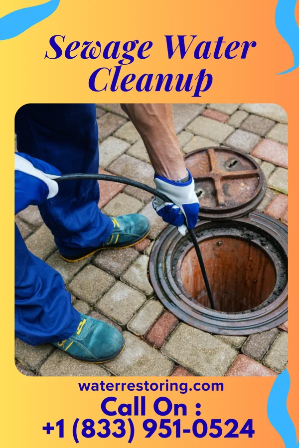 Sewage Water Cleanup in Excelsior, MN
